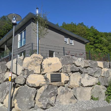 Ferienhaus Schieferterrasse - Waldsee Rieden - Luaran gambar