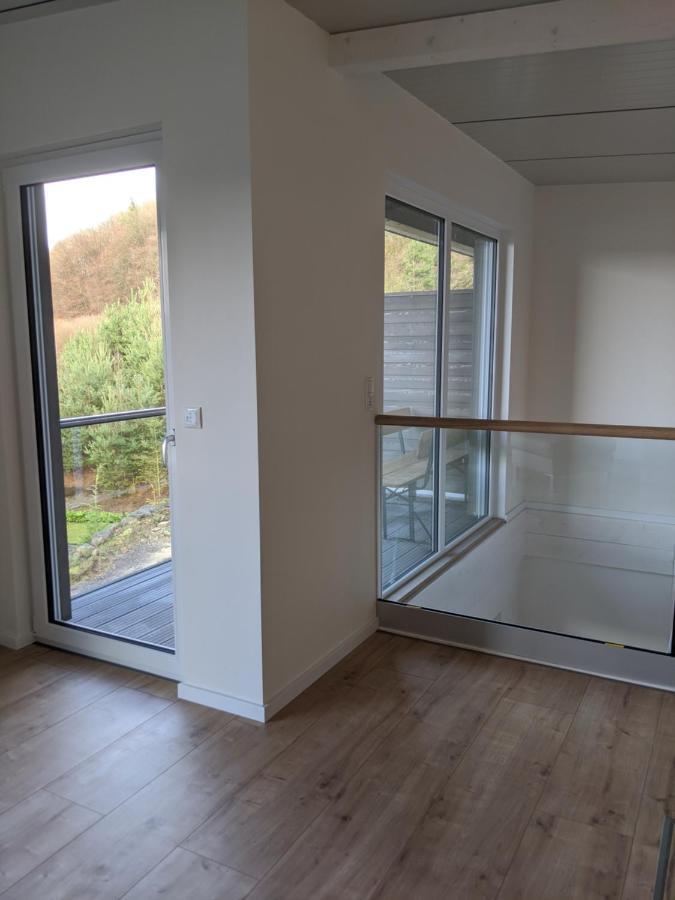Ferienhaus Schieferterrasse - Waldsee Rieden - Luaran gambar